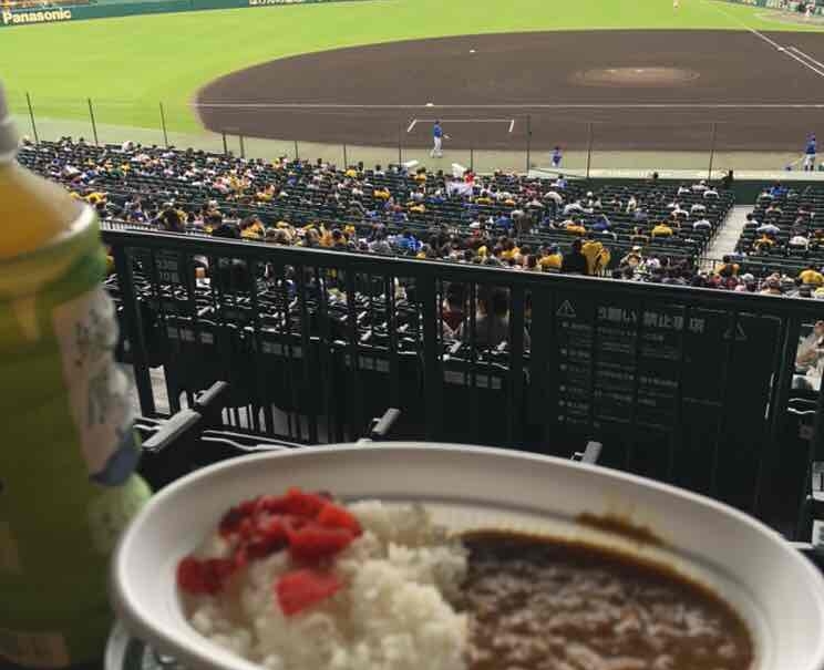 今年最初で最後の甲子園