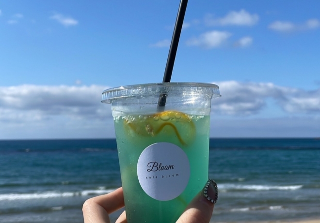 海
