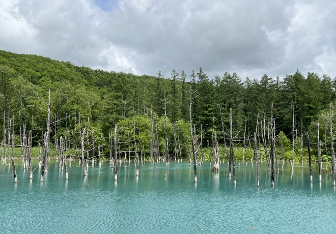 北海道旅行
