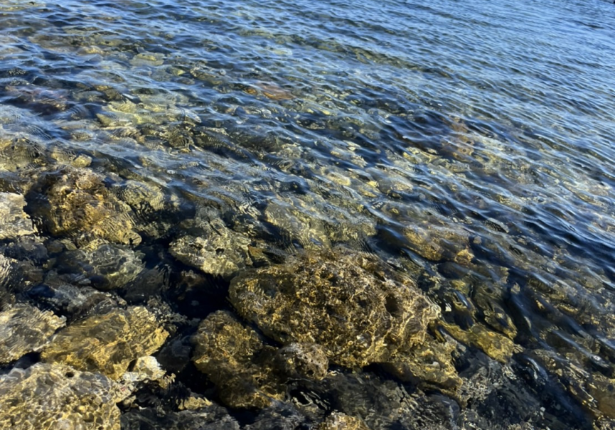 海の中