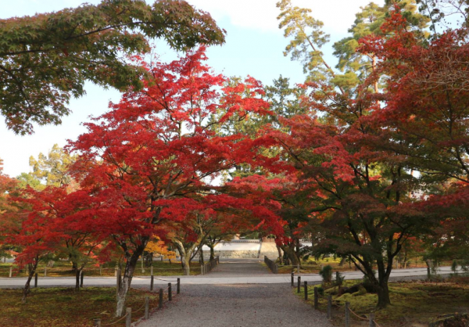 紅葉
