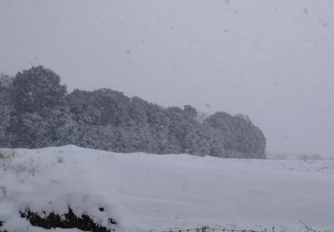 クリスマス前の大雪