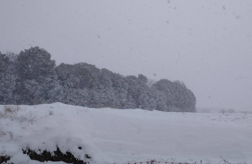 クリスマス前の大雪
