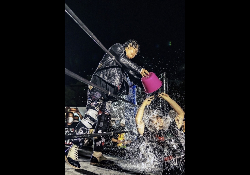 プロレスが大好きだ