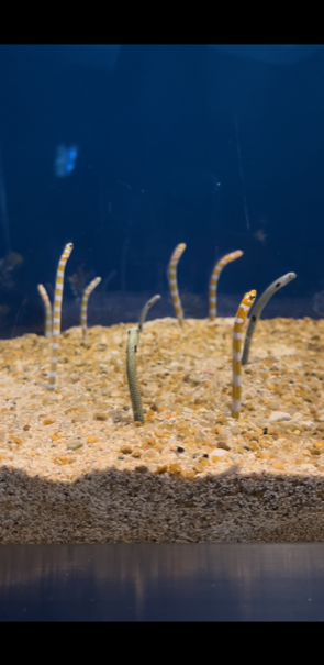 水族館