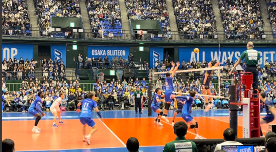 スポーツ観戦