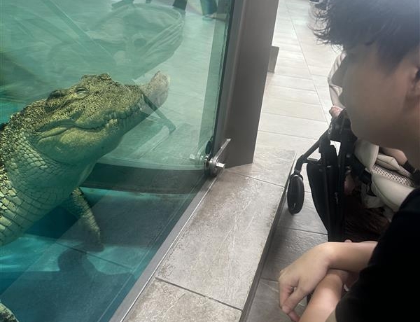 ニフレル