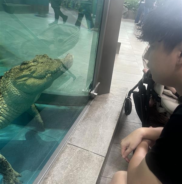 ニフレル