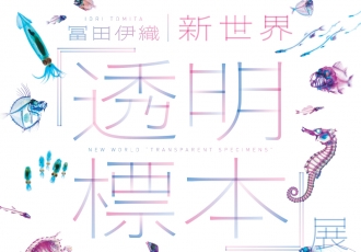 透明標本