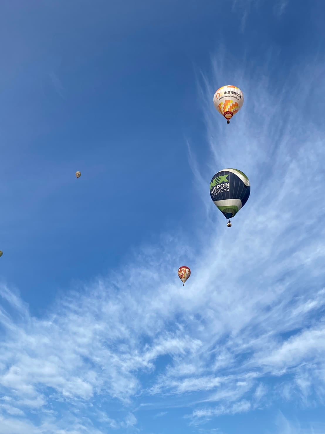 バルーンフェスタ