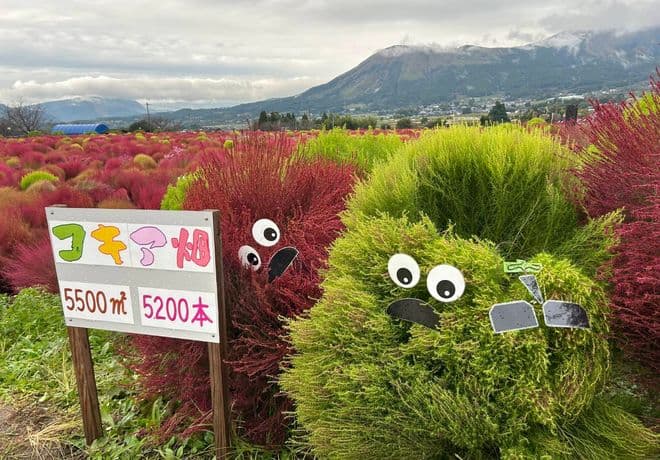 熊本旅行