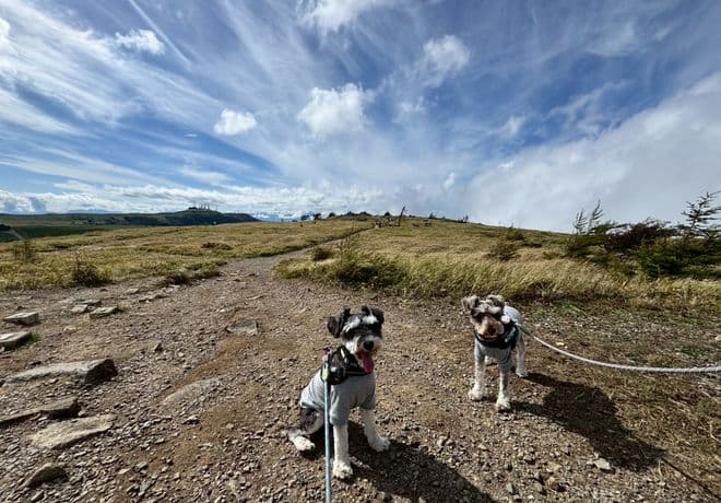 軽井沢と愛犬ちゃん