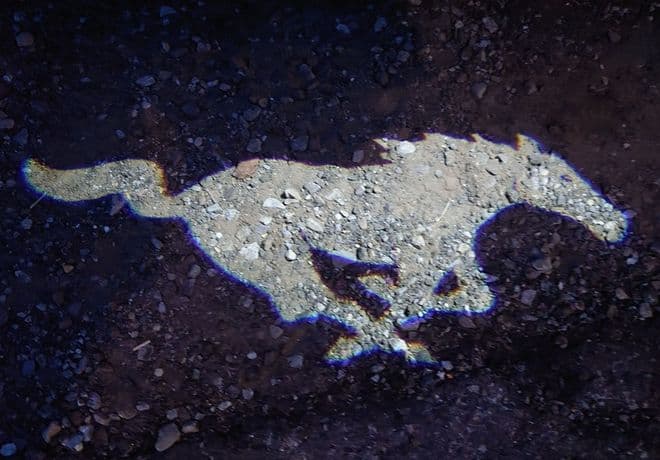 仲秋のアメリカとカナダを訪ねて