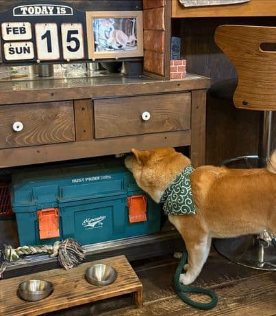 山奥の隠れ家店