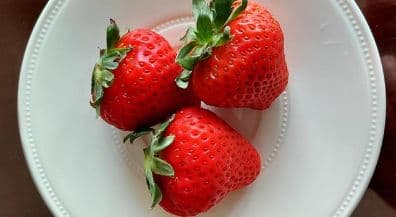 旬のいちご