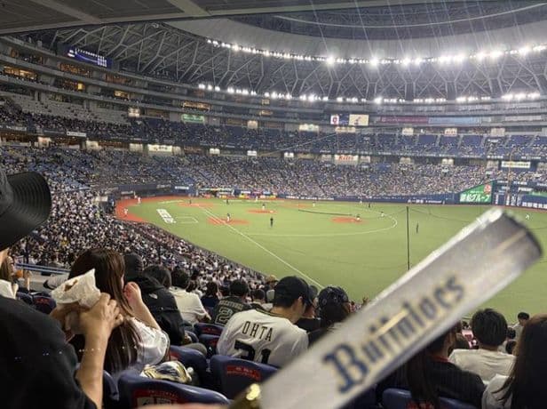 野球観戦