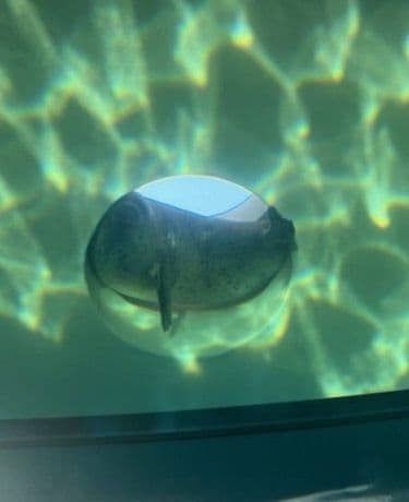 水族館